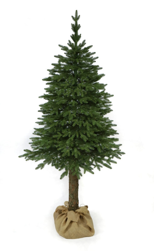 Vánoční stromek Smrk přírodní na pařezu 180 cm
