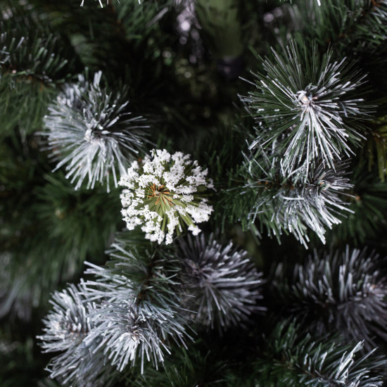 Vánoční stromek v květináči Borovice EIRA 80 cm