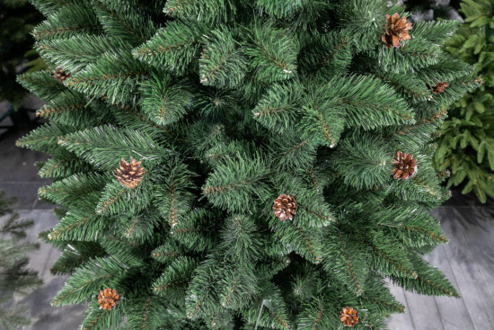 Vánoční stromek Borovice GLORIA 180 cm