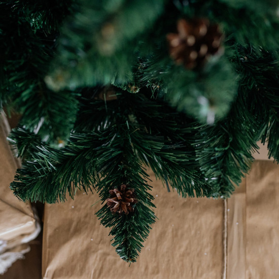 Vánoční stromek Borovice GLORIA 220 cm