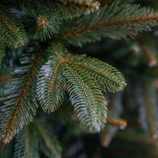 Vánoční stromek Smrk NOEL 180 cm