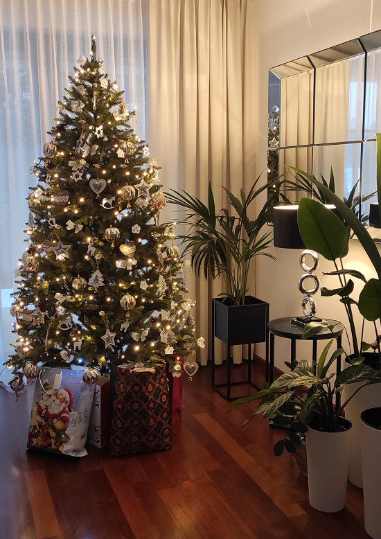 Vánoční stromek Smrk NORDIC 180 cm