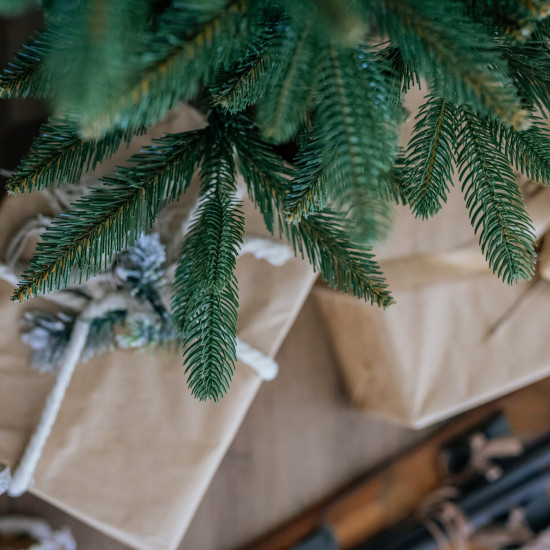 Vánoční stromek Smrk NOEL 300 cm