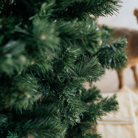 Vánoční stromek Borovice STELLA 250 cm