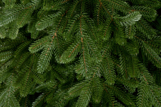 Umělý vánoční stromek Přírodní Smrk LUXURY 250 cm