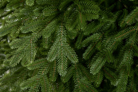 Umělý vánoční stromek Přírodní Smrk LUXURY 250 cm