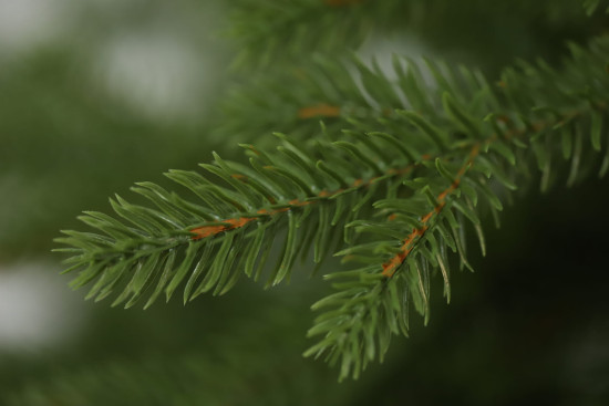 Umělý vánoční stromek Přírodní Smrk LUXURY 180 cm