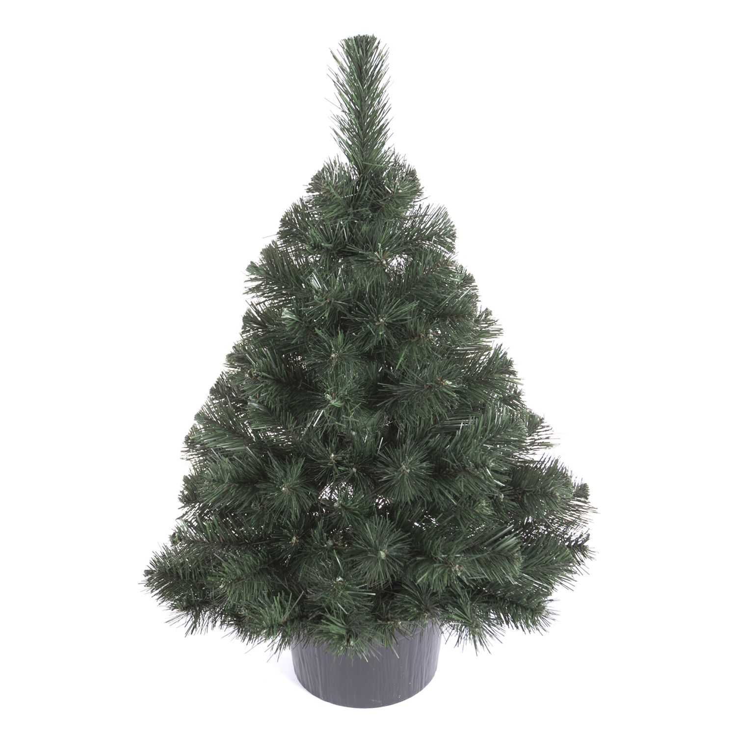 Vánoční stromek v květináči Borovice FREYA 80 cm