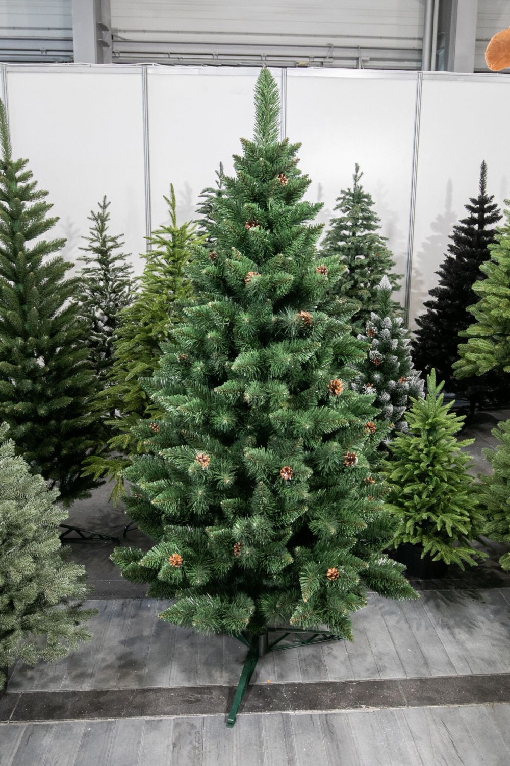 Vánoční stromek Borovice GLORIA 180 cm