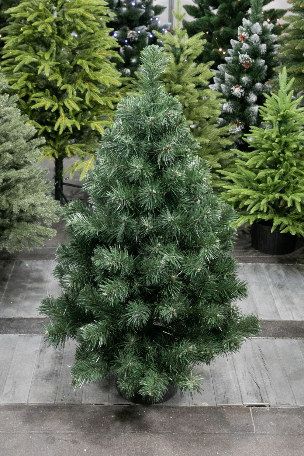 Vánoční stromek v květináči Borovice FREYA 110 cm