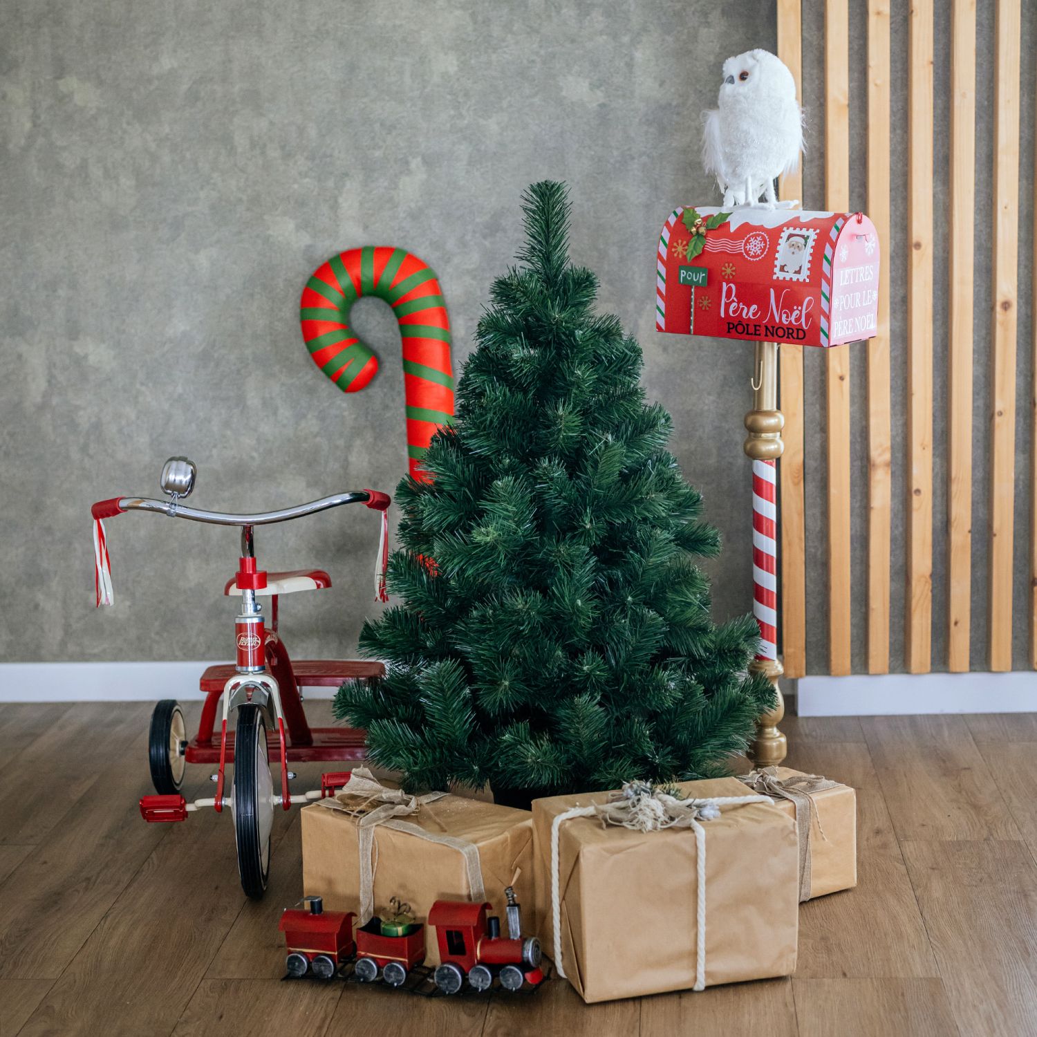 Vánoční stromek v květináči Borovice FREYA 80 cm