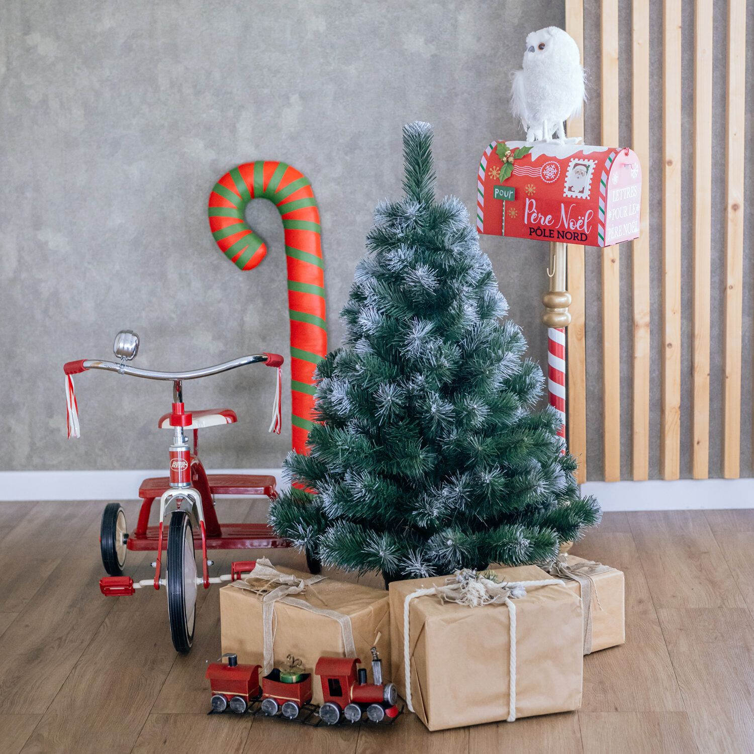 Vánoční stromek v květináči Borovice EIRA 80 cm