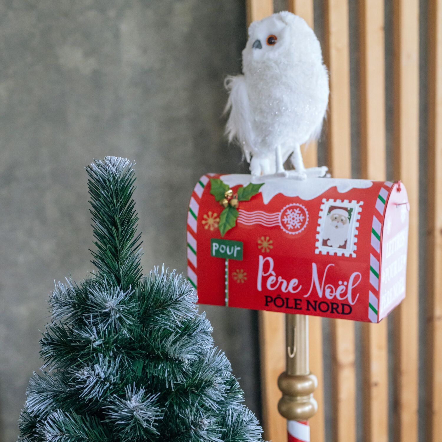 Vánoční stromek v květináči Borovice EIRA 80 cm