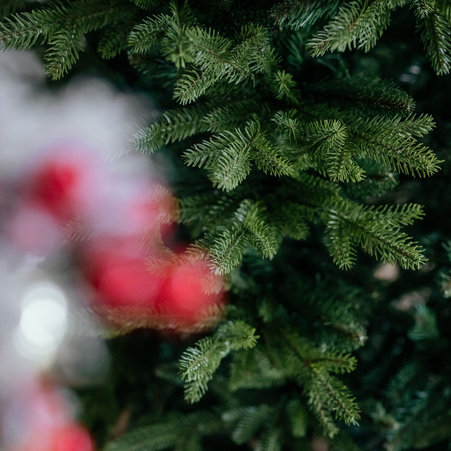 Vánoční stromek Smrk NORDIC 150 cm