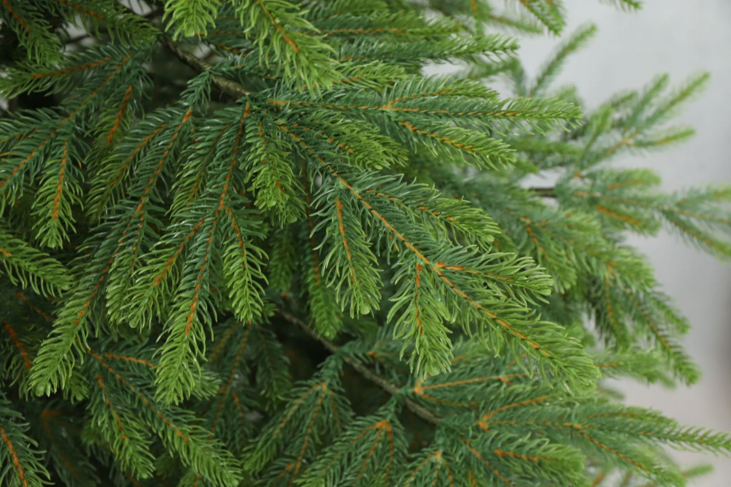 Umělý stromek Smrk Natura EXCLUSIVE 220 cm