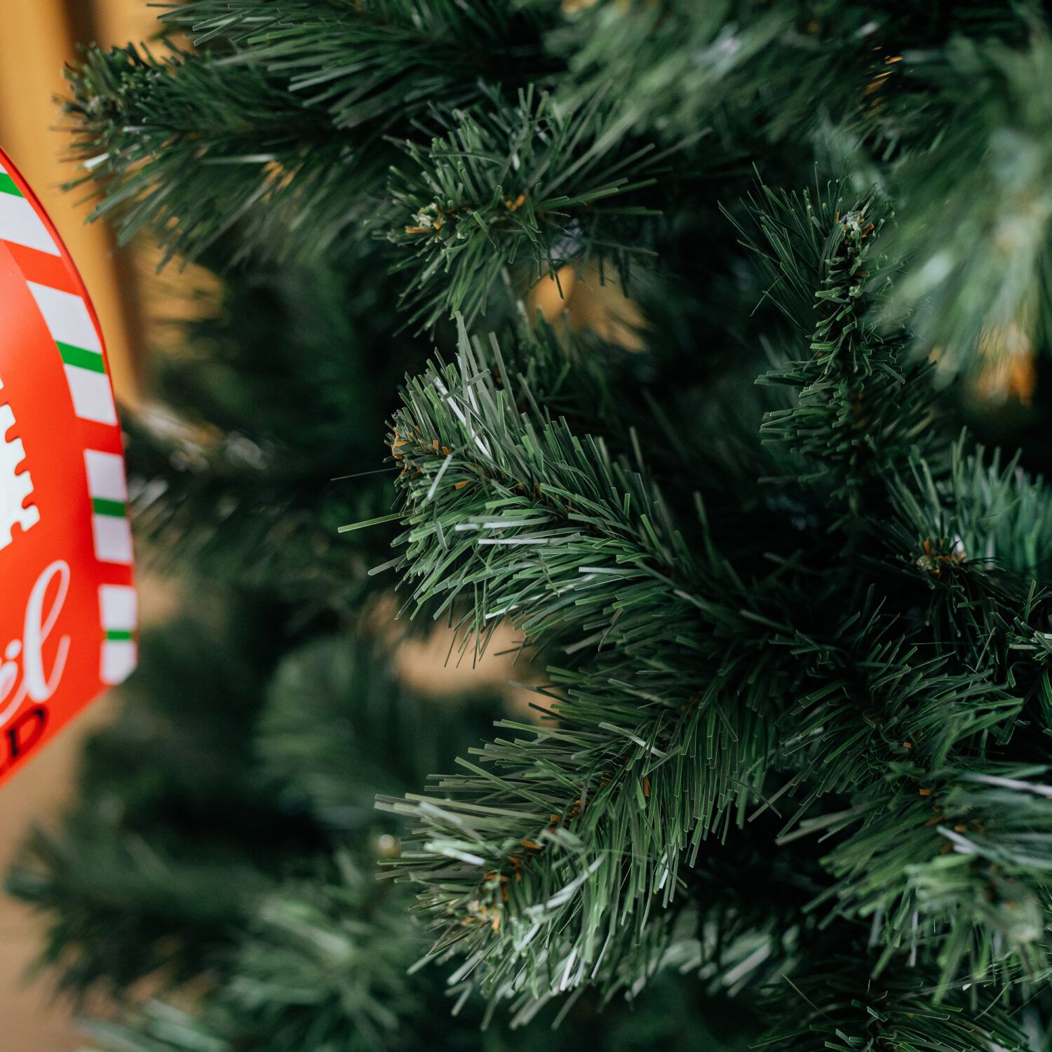 Vánoční stromek Borovice STELLA 250 cm