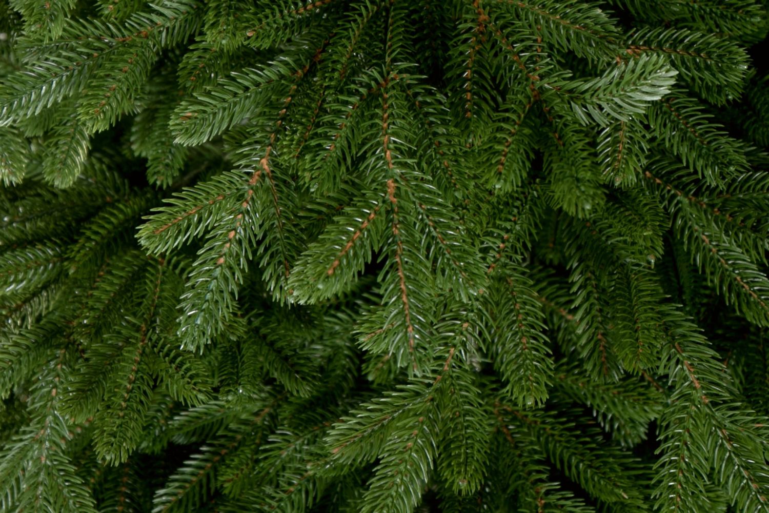 Umělý vánoční stromek Přírodní Smrk LUXURY 250 cm