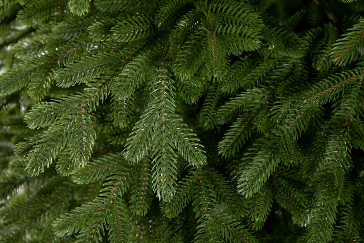 Umělý vánoční stromek Přírodní Smrk LUXURY 180 cm