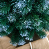 Vánoční stromek v květináči Borovice EIRA 80 cm