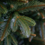 Vánoční stromek Smrk NOEL 220 cm