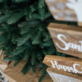 Vánoční stromek Skandinávský smrk AURORA 220 cm