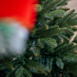 Vánoční stromek Smrk NOEL 300 cm