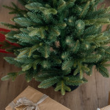 Vánoční stromek v květináči Smrk FJORD 80 cm