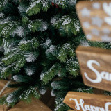 Vánoční stromek Borovice Premium LUMINA 180 cm