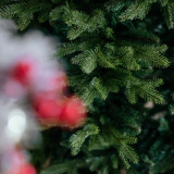 Vánoční stromek Smrk NORDIC 180 cm