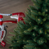 Vánoční stromek v květináči Smrk FJORD 80 cm