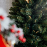 Vánoční stromek Borovice LYRA 220 cm