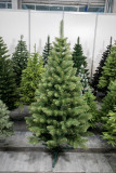 Vánoční stromek Borovice LYRA 150 cm
