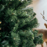 Vánoční stromek Borovice STELLA 220 cm