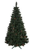 Vánoční stromek Borovice GLORIA 220 cm