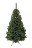 Vánoční stromek Borovice LYRA 250 cm