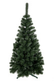 Vánoční stromek Borovice STELLA 180 cm